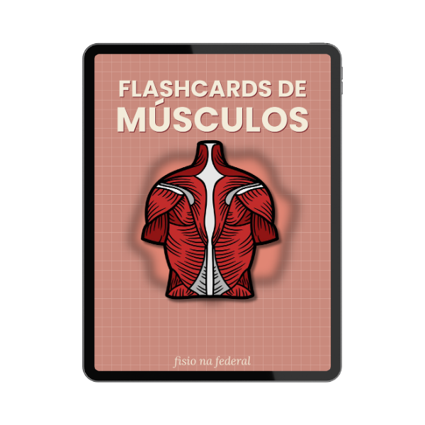 Flashcards de Músculos